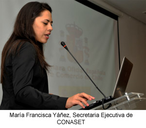 Gesti�n de la Seguridad Vial