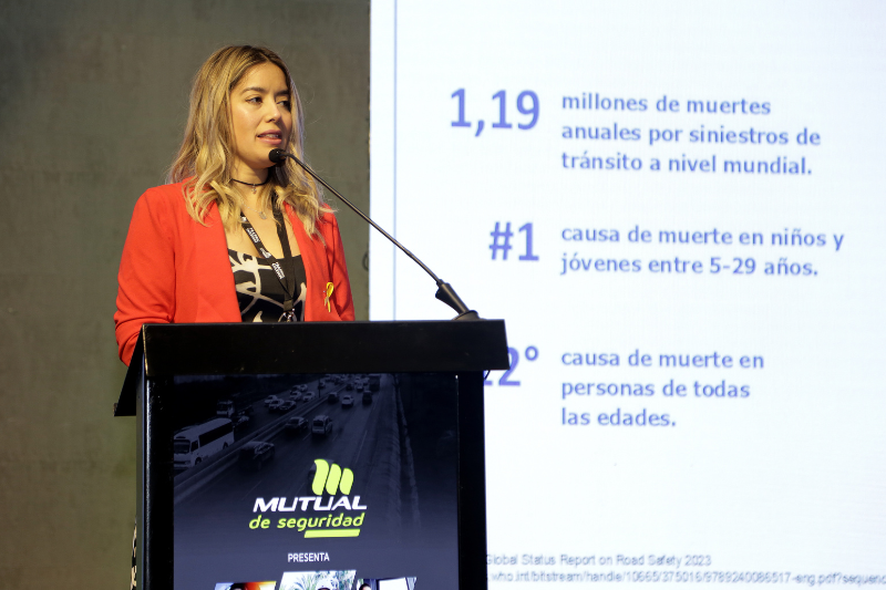 Luz Renata Infante Secretaria Ejecutiva de CONASET