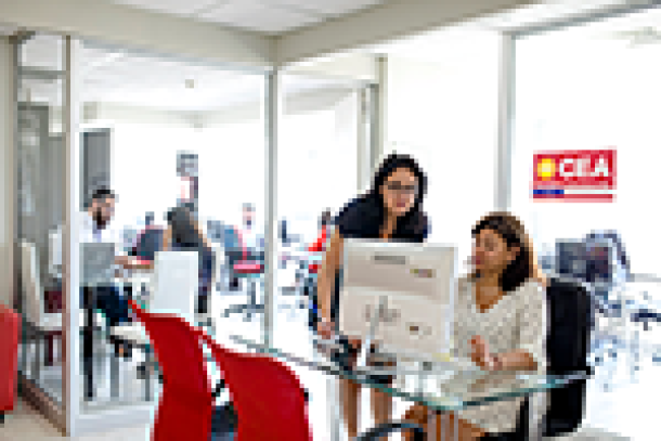 Clases de conducción online