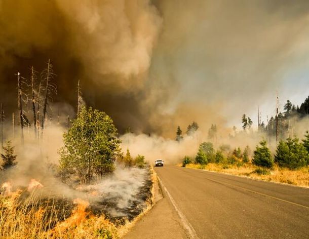 ¿Qué hacer ante un incendio inesperado en la carretera?