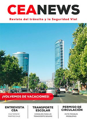 Revista CEA News 12